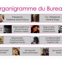 ORGANIGRAMME UFDI