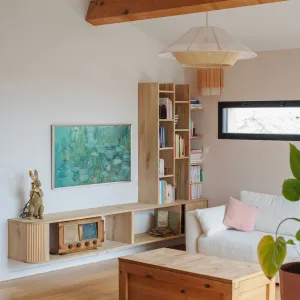 Vignette Salon meuble sur mesure