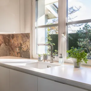 Vignette gros plan devant la fenêtre