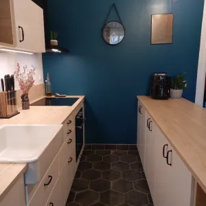 Vignette Cumin - Rénovation d'une pièce de vie à Lyon 6