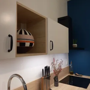 Vignette Cumin - Rénovation d'une pièce de vie à Lyon 6