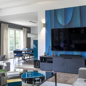 Vignette Le salon et son panoramique blue plume sur le mur de la télévision