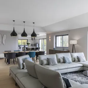 Vignette Vue globale du salon gris clair, la salle à manger et la cuisine