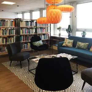 Vignette