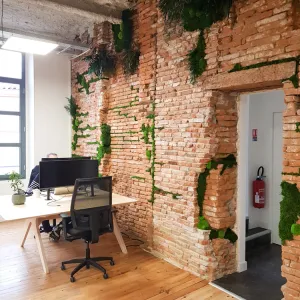 Vignette Amenagement-bureaux-startup-toulouse-openspace