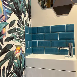 Vignette WC