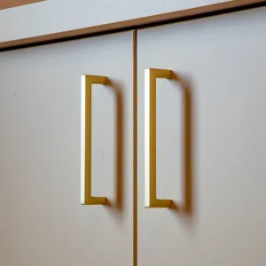 Vignette détail de poignée de porte