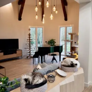 Vignette Salon avec poutres apparentes et piano à queue