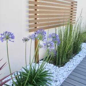 Vignette Peggy Guezello 1001 idées architecte paysagiste/ piscine/ végétaux