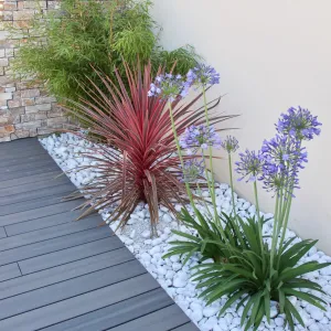 Vignette Peggy Guezello 1001 idées architecte paysagiste/ piscine/ plante