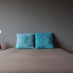 Vignette Des coussins bleu velours