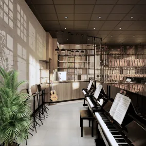 Vignette Magasin de musique Serris Seine et Marne Ile de France