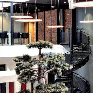 Vignette Showroom bureau Serris Seine et Marne Ile de France