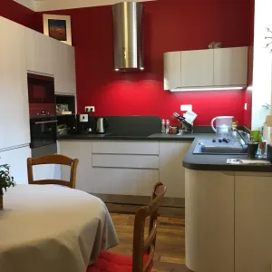 Vignette Remplacement de la cuisine par une nouvelle cuisine italienne composée de jolies courbes