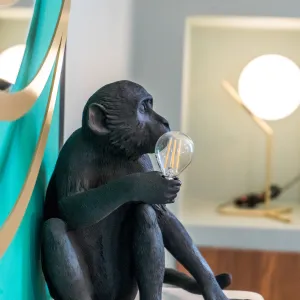 Vignette luminaire selleti