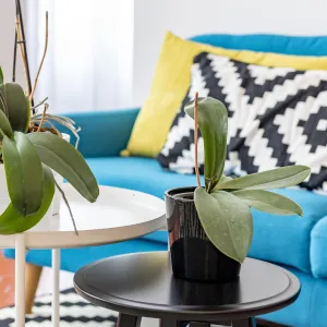 Vignette Détail sur la table basse