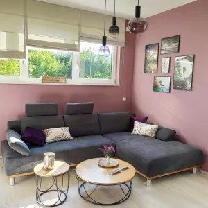 Vignette Rénovation d'un salon cosy