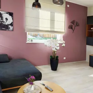 Vignette Rénovation d'un salon cosy