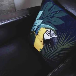 Vignette Fauteuil club, coussin perroquet