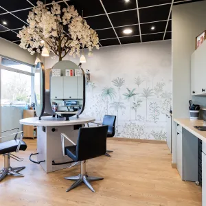 Vignette espace coiffage feminin