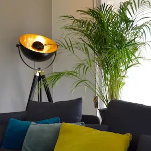 Vignette luminaire chaleureux