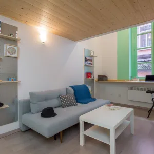 Vignette Un studio habillé d'OSB dans le pentes à Lyon