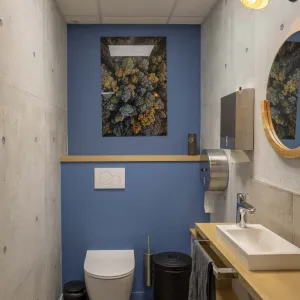 Vignette Les toilettes toujours dans le ton